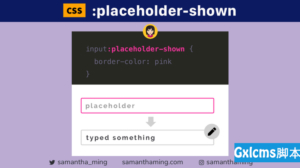 在CSS中什么是:placeholder-shown?如何使用?有什么用?小白必知-爱站