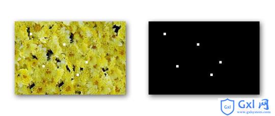 da1370f31448e2958ccd6c3d928dabdf-1