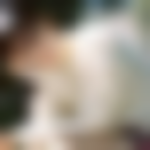 图片[2]-PHP实现生成模糊图片的方法示例-爱站